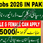 FBR Jobs