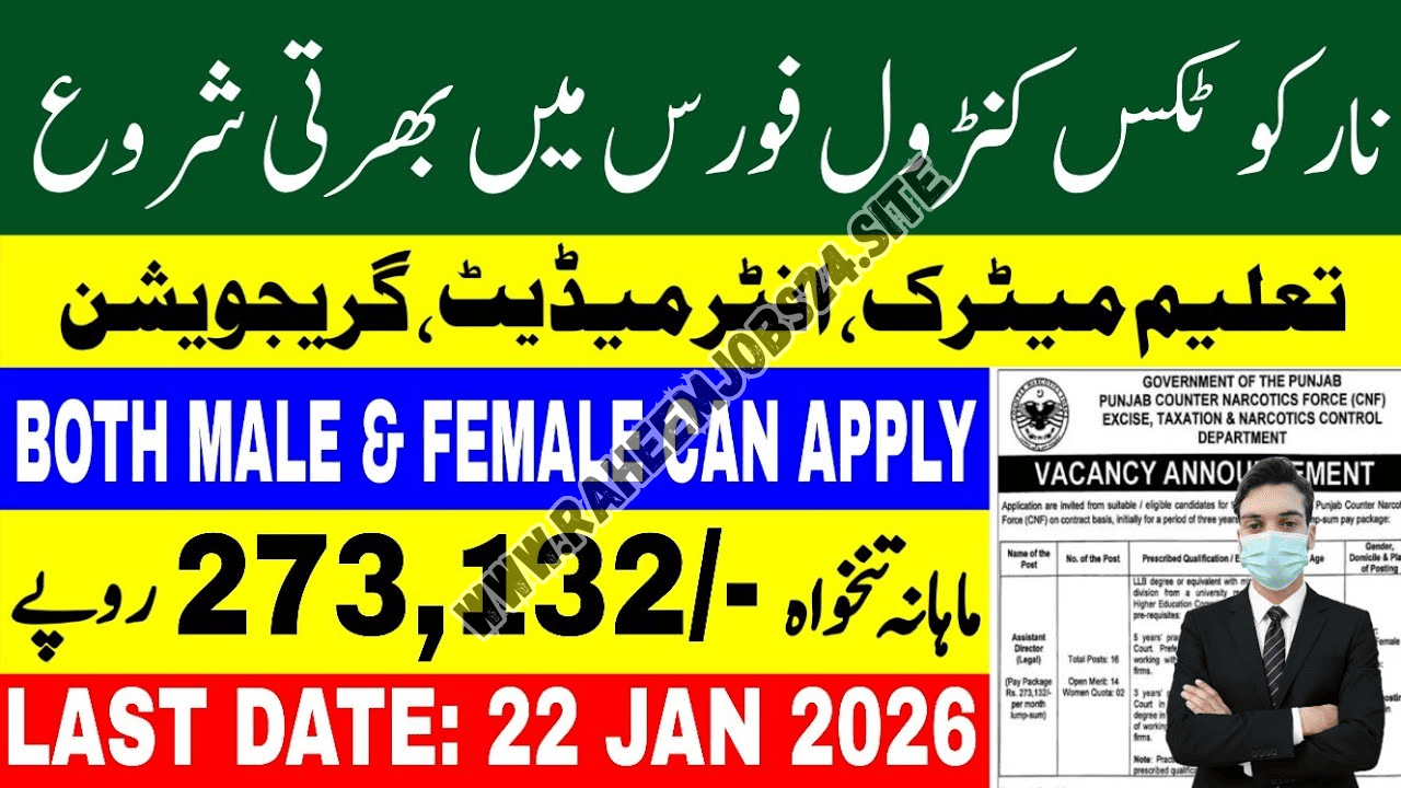 Punjab Anti Narcotics Force Jobs
